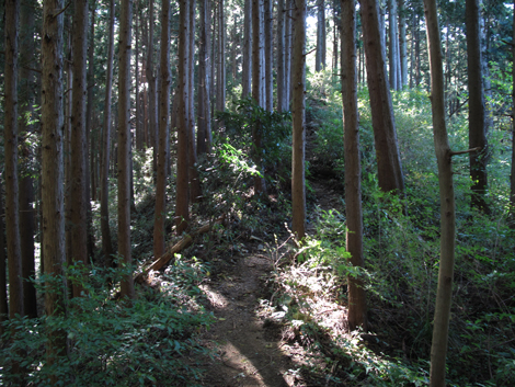 20171026hike (150)